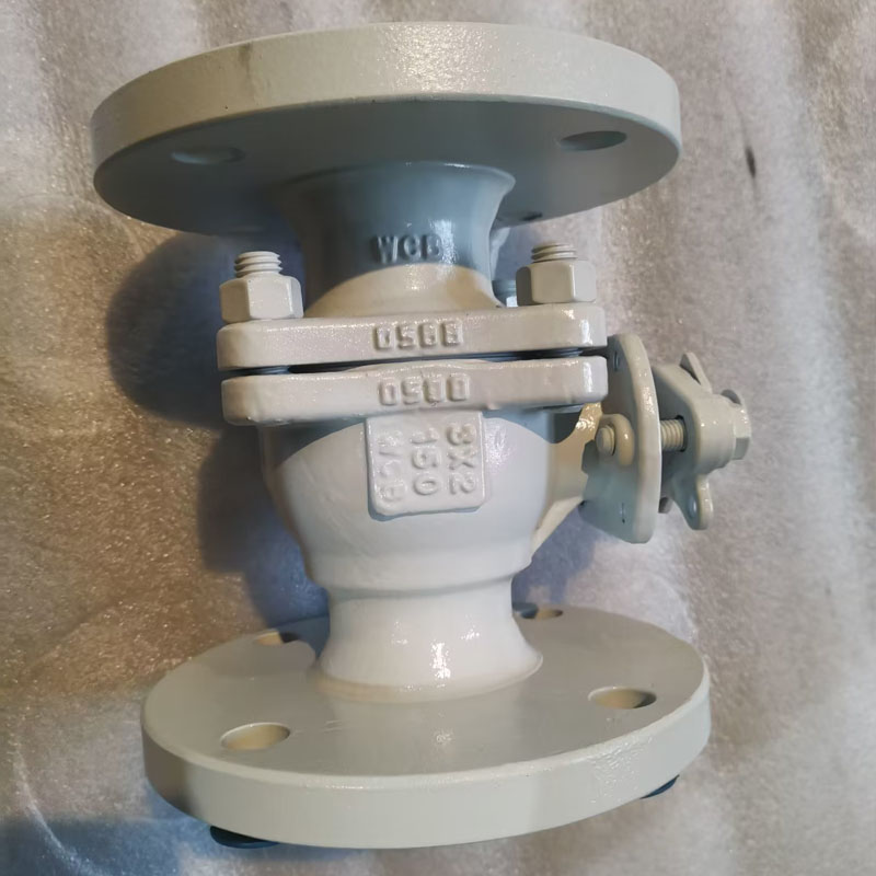 ຫຼຸດຜ່ອນ Bore Floating Ball Valve